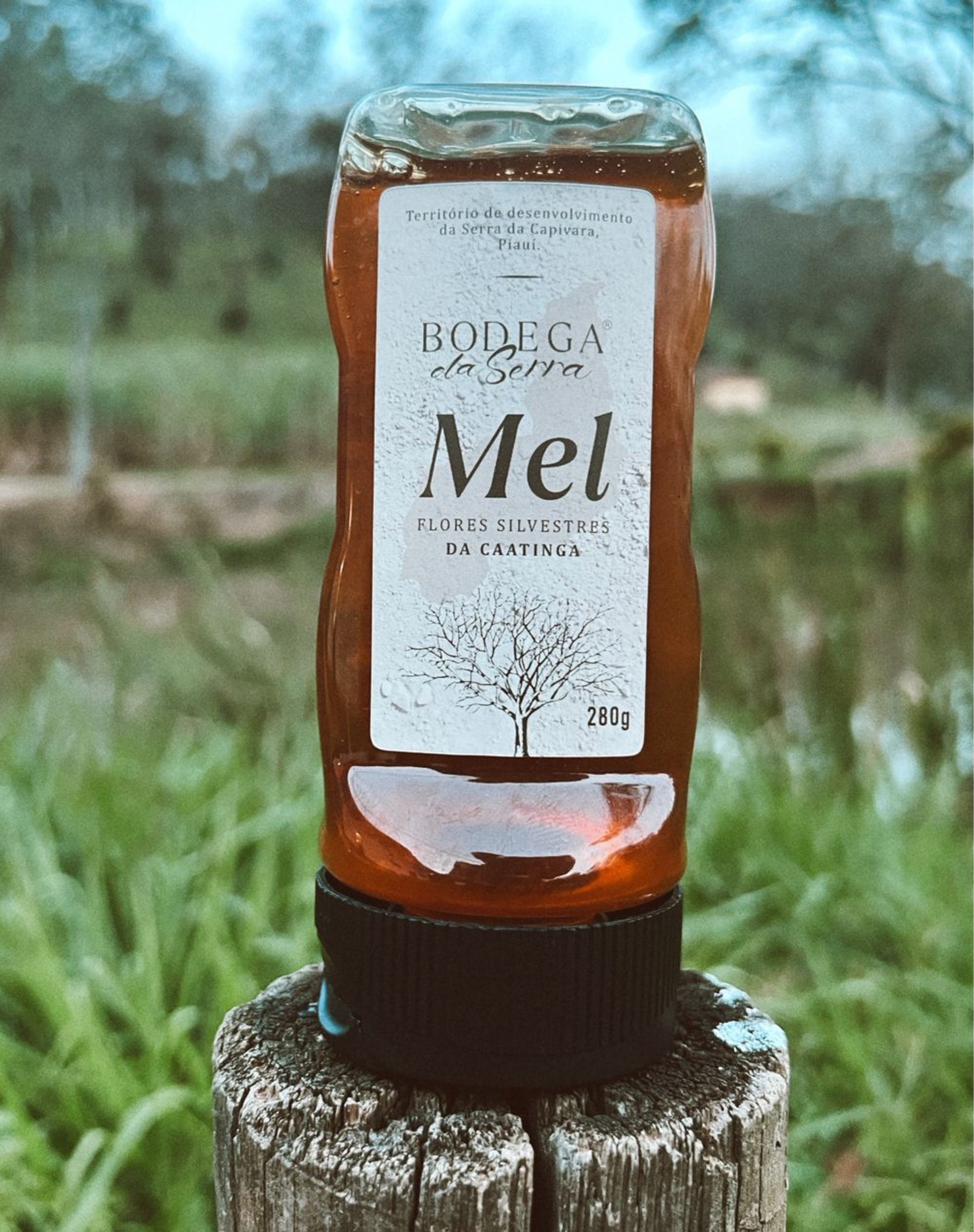 Imagem do recipiente de mel do Bodega da Serra em cima de um tronco com um fundo de natureza