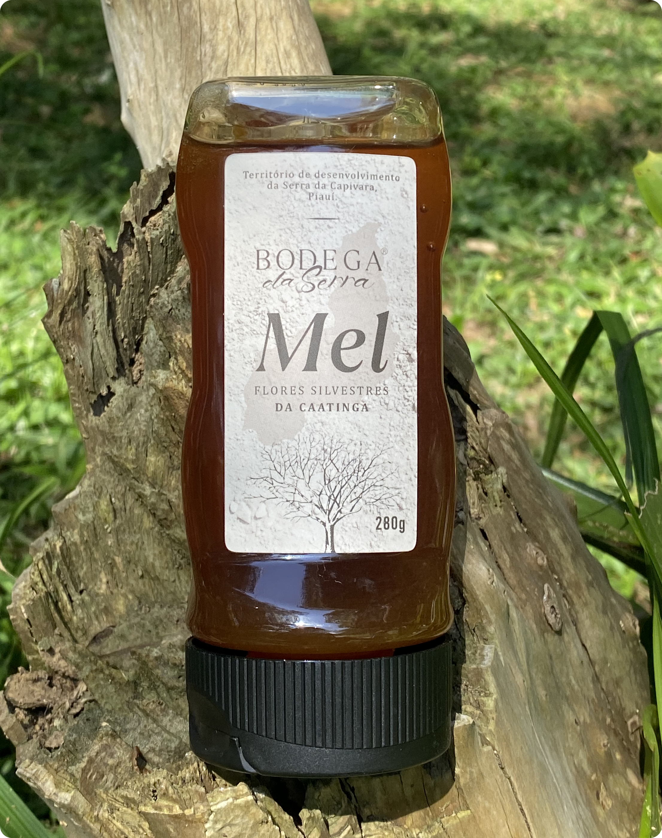 imagem da embalagem do mel bodega da serra apoiado em um tronco