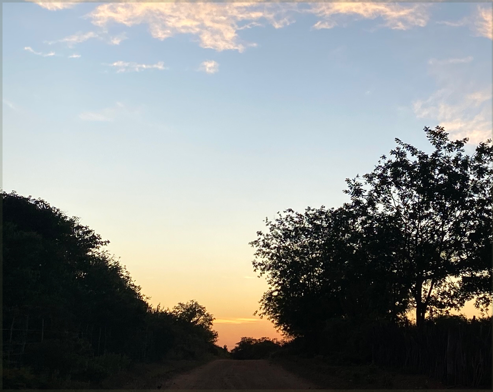 imagem da mata da região