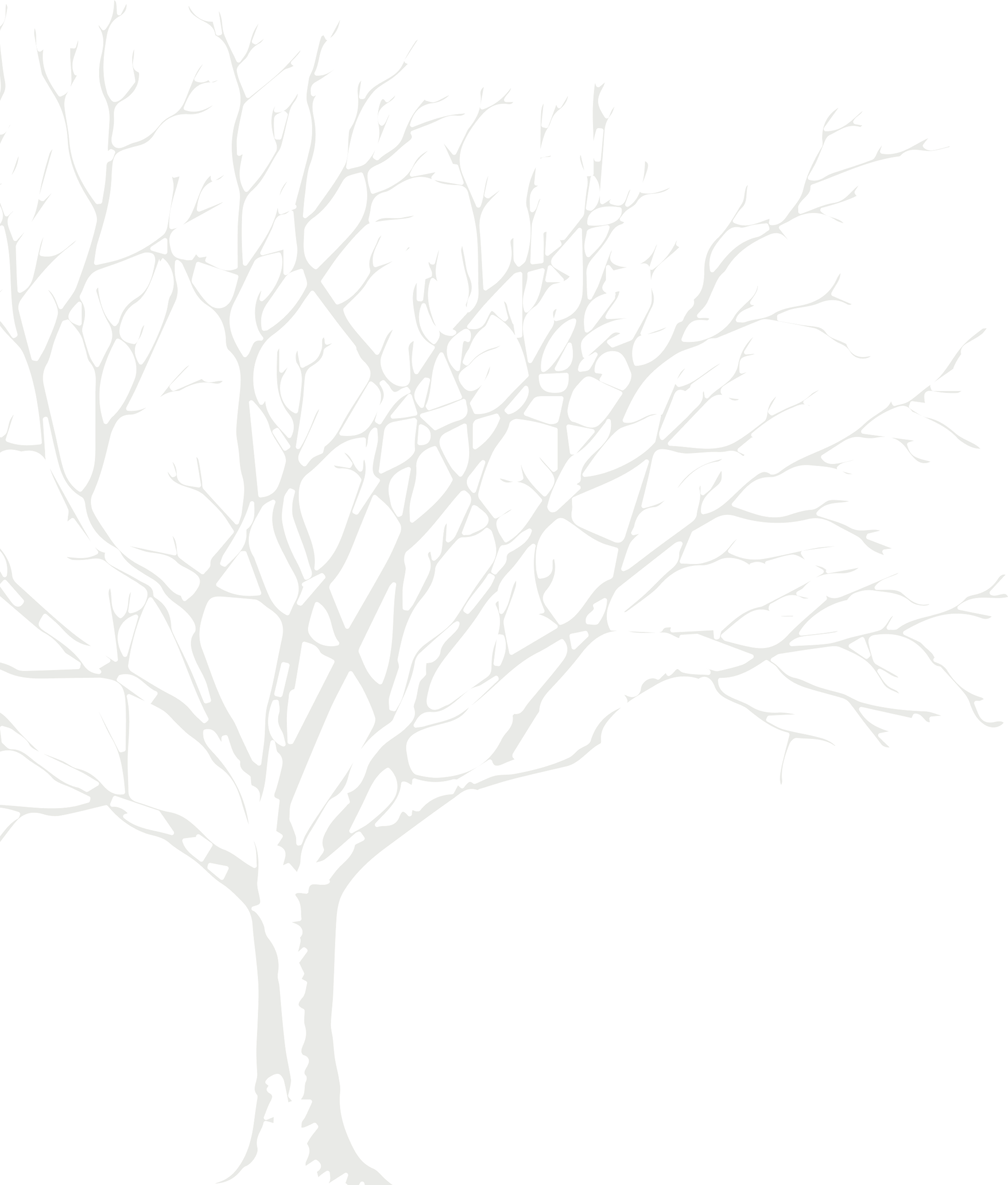 Árvore semi-transparente sem folhas ao fundo.